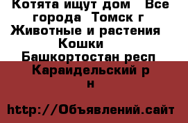 Котята ищут дом - Все города, Томск г. Животные и растения » Кошки   . Башкортостан респ.,Караидельский р-н